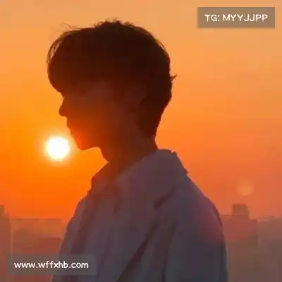 万桢翼